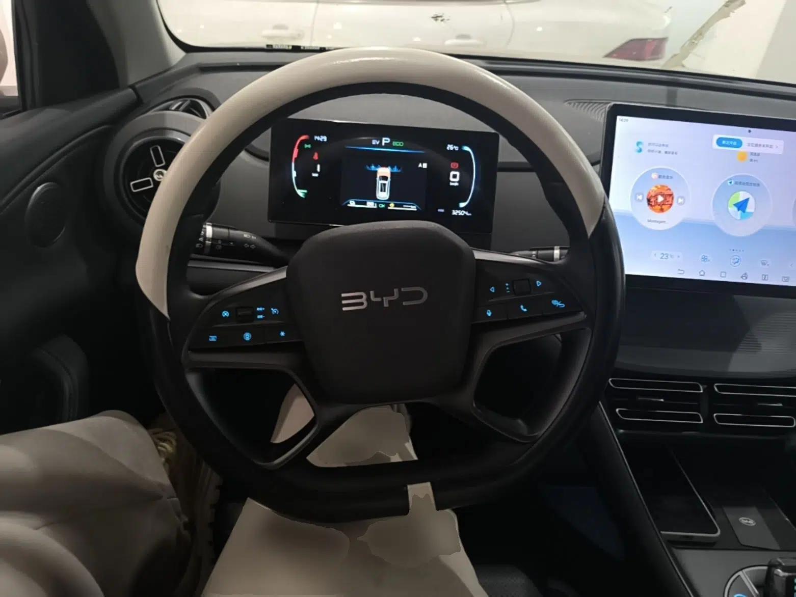 BYD Sealion 05 DM-i 2025 DM-i 75KM Luxury Model — миниатюра 14