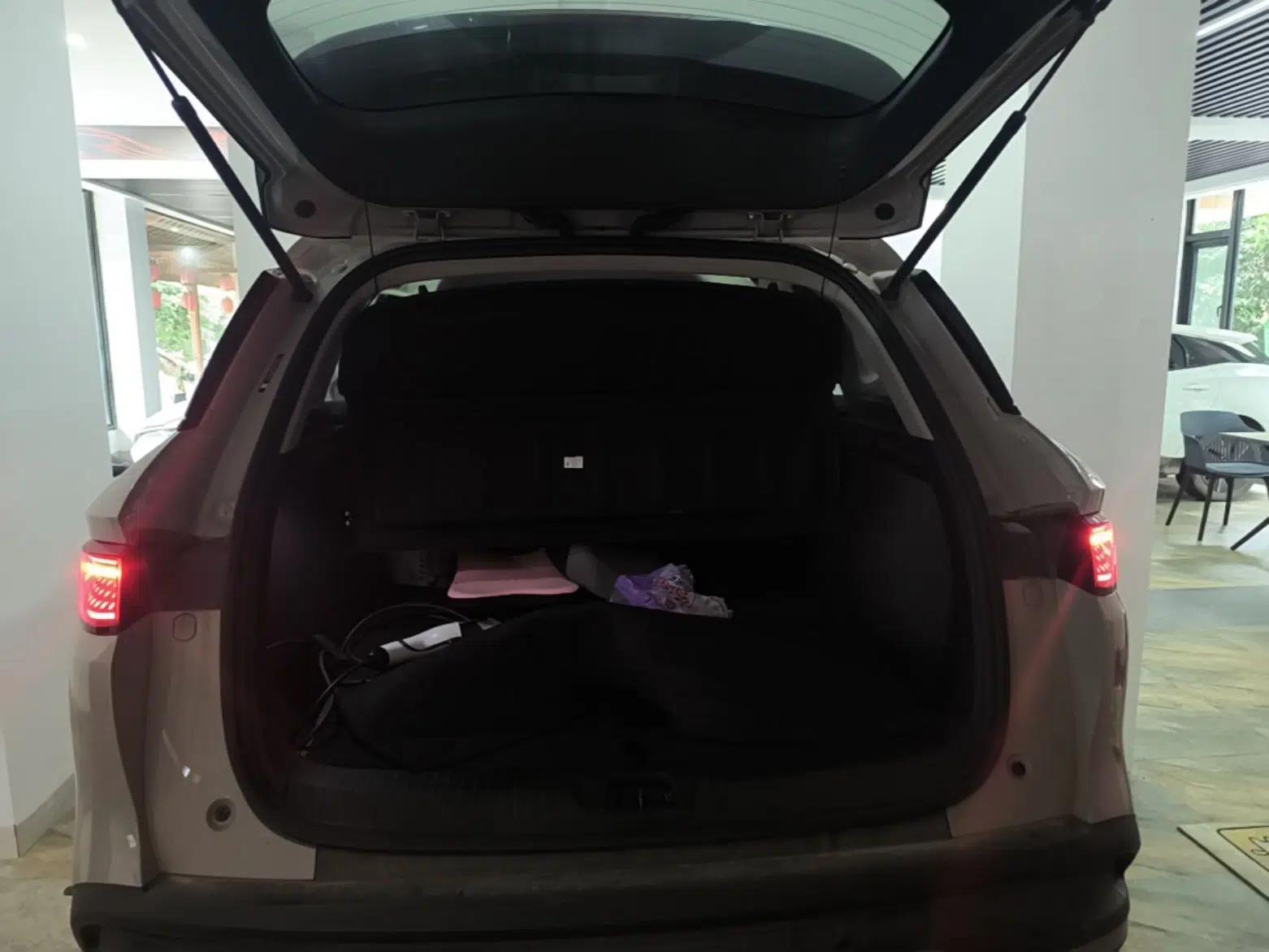 BYD Sealion 05 DM-i 2025 DM-i 75KM Luxury Model — миниатюра 22