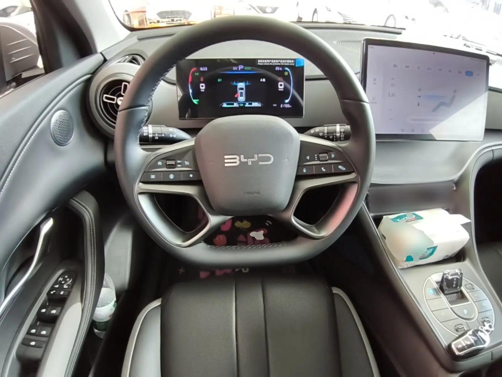 BYD Sealion 05 DM-i 2025 DM-i 75KM Luxury Model — миниатюра 14