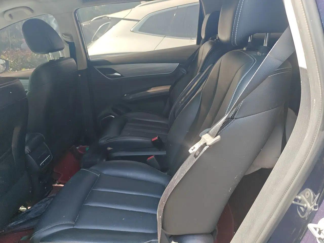 BYD Song MAX New Energy 2019 DM 1.5T Smart Connect Advanced 6-Seater China VI Standard — миниатюра 18