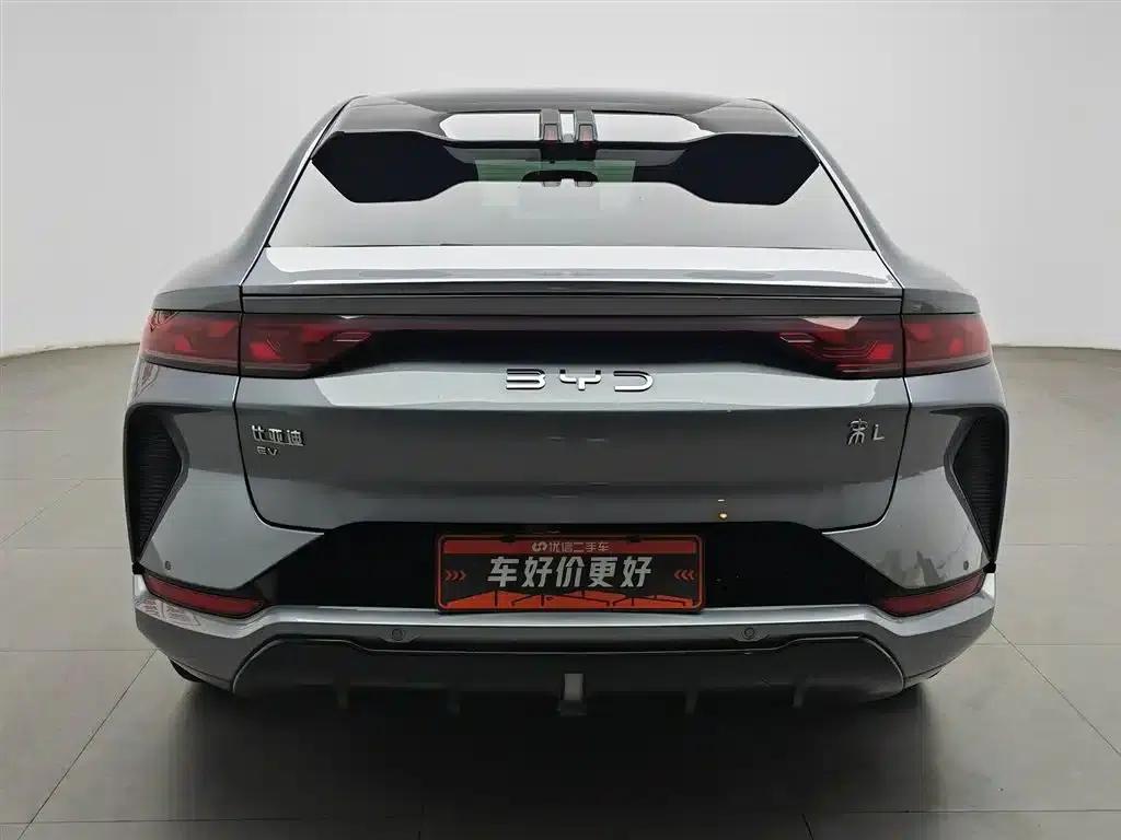Song L EV 2024 550km Excellent Edition — миниатюра 4