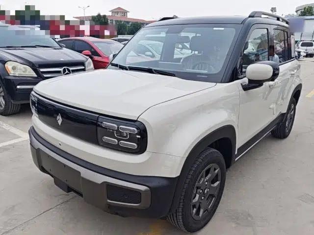 Baojun Spark EUV 2026 301km Flagship Edition