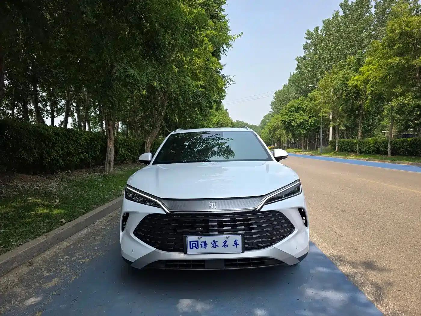 Song L DM-i 2026 Model 200KM Super Edition — миниатюра 2