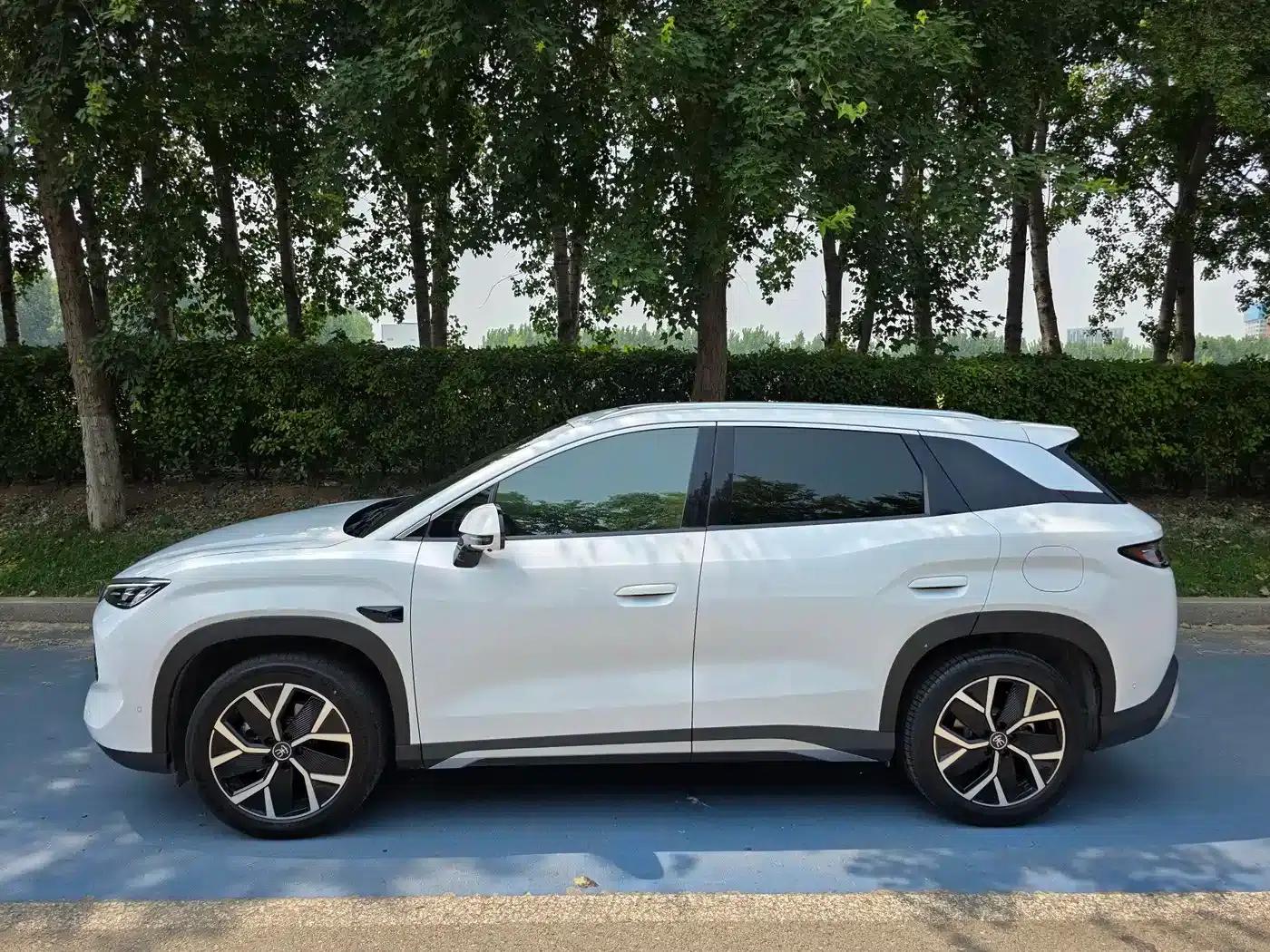 Song L DM-i 2026 Model 200KM Super Edition — миниатюра 12