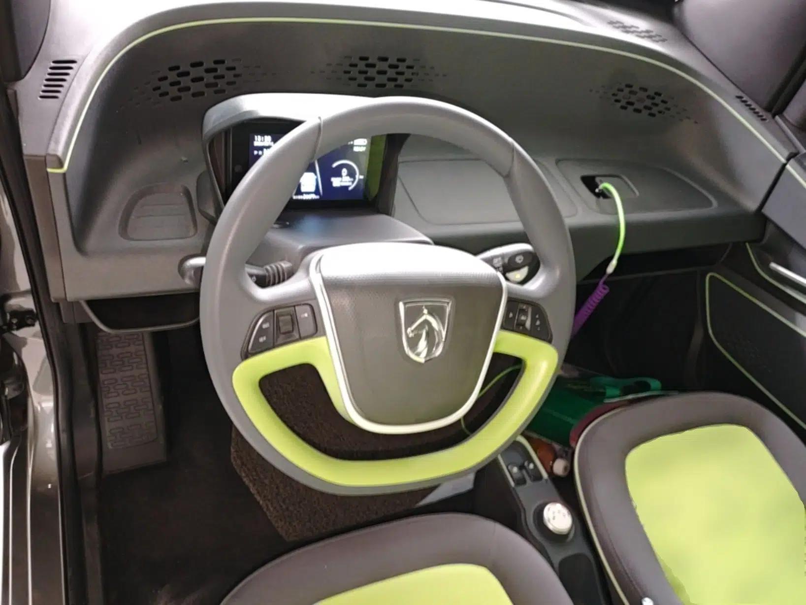 Baojun E100 2020 305KM Smart Drive Version — миниатюра 14