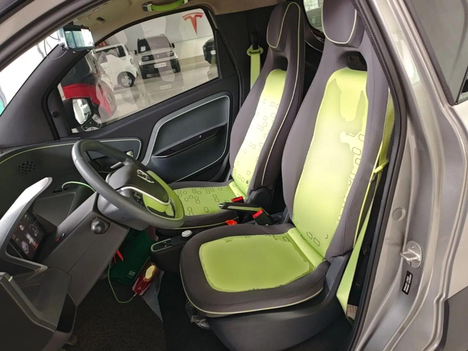 Baojun E100 2020 305KM Smart Drive Version — миниатюра 18