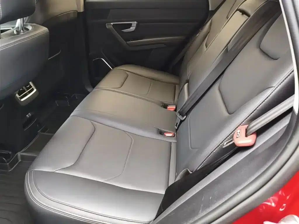 Song Pro 2019 1.5T Automatic Luxury Edition — миниатюра 17