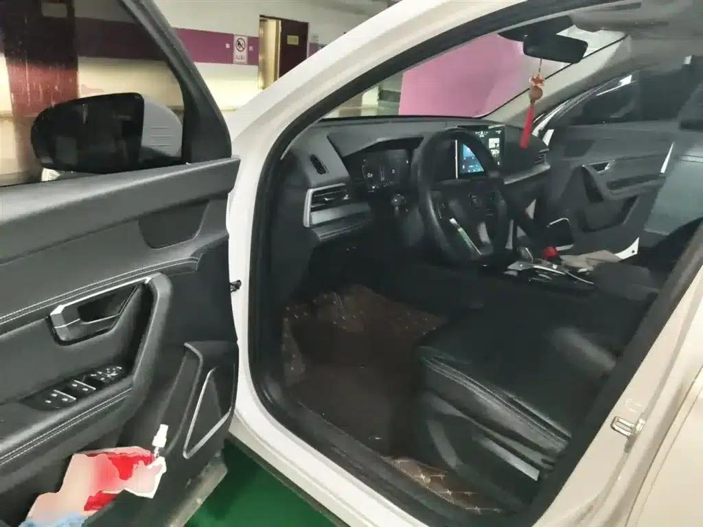 Song Pro 2019 1.5T Automatic Luxury Edition — миниатюра 13