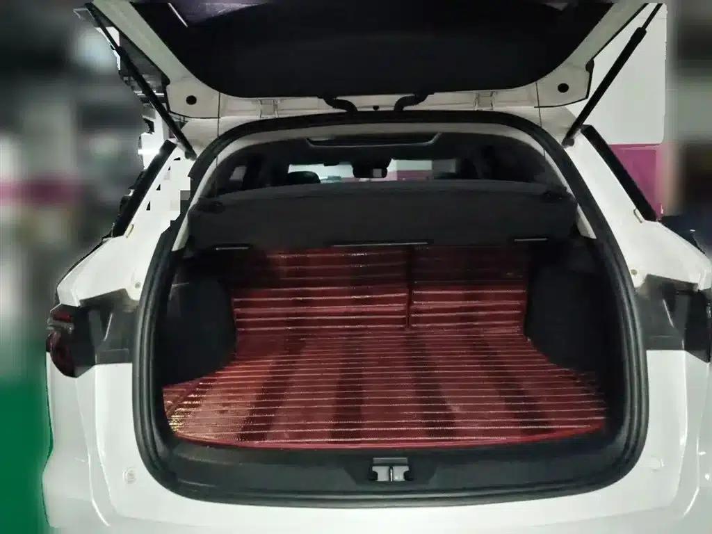 Song Pro 2019 1.5T Automatic Luxury Edition — миниатюра 16