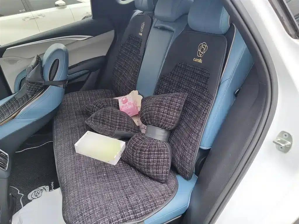 Song Pro 2021 1.5T Automatic Xiaoyun Edition Luxury Model — миниатюра 15