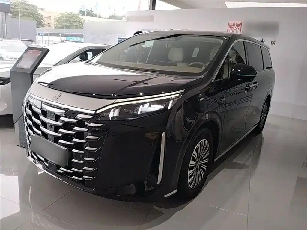 Summer 2025 DM-i 1.5T 180km Excellent Edition — миниатюра 1