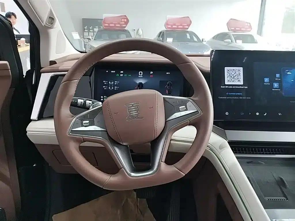 Summer 2025 DM-i 1.5T 180km Excellent Edition — миниатюра 11