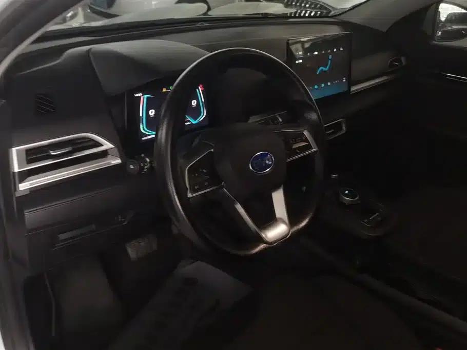 BYD e2 2021 Comfort Model — миниатюра 12