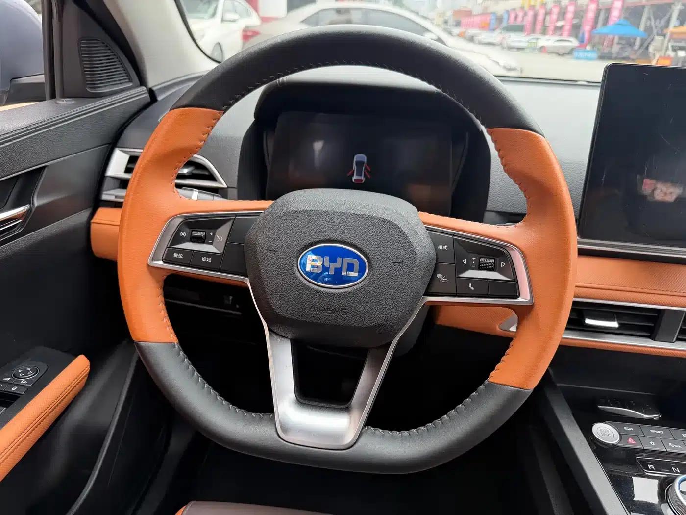 BYD e2 2021 Luxury Edition — миниатюра 27