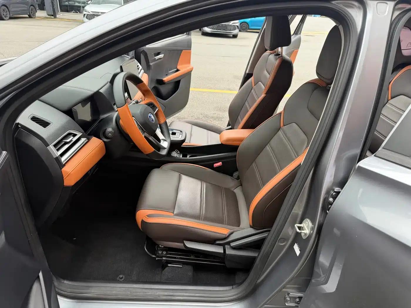 BYD e2 2021 Luxury Edition — миниатюра 29