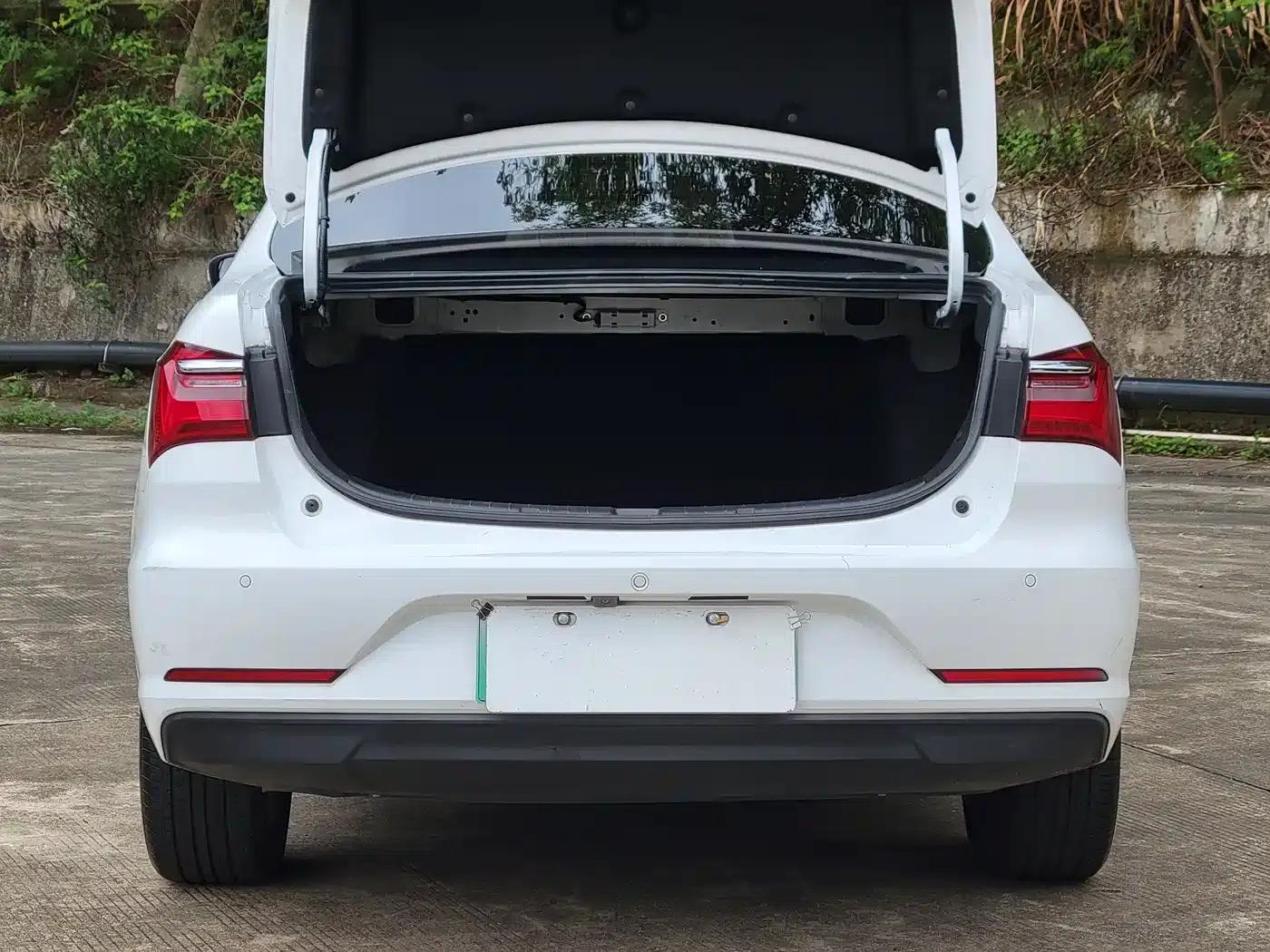 Qin New Energy 2019 Long Range Premium Edition — миниатюра 18