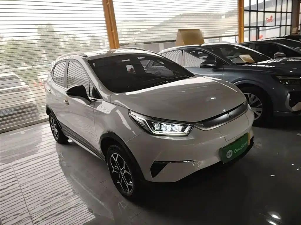 Yuan Pro 2021 401KM Luxury Edition — миниатюра 4