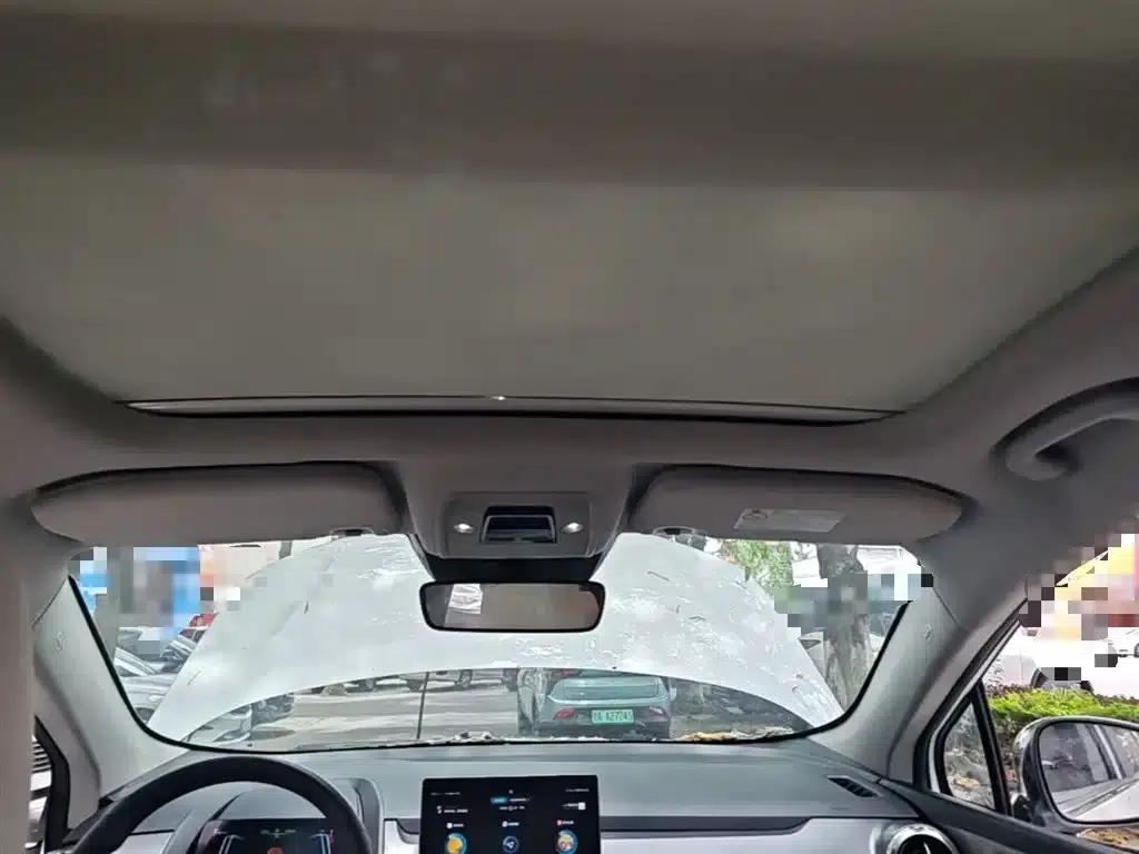 Yuan Pro 2021 401KM Premium — миниатюра 18