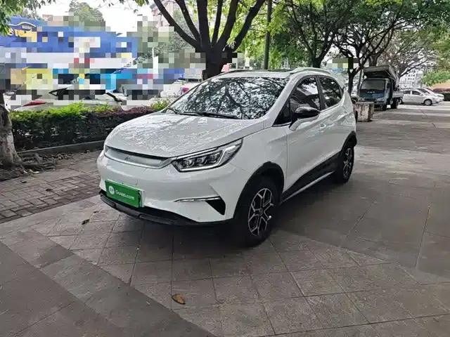 Yuan Pro 2021 401KM Premium