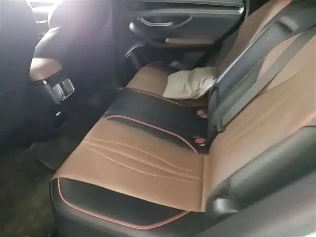 Song PLUS 2020 1.5T Automatic Premium Edition — миниатюра 17