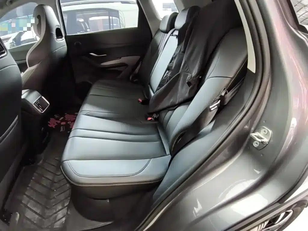 Hiace 05 DM-i 2025 DM-i 75KM Luxury Edition — миниатюра 17
