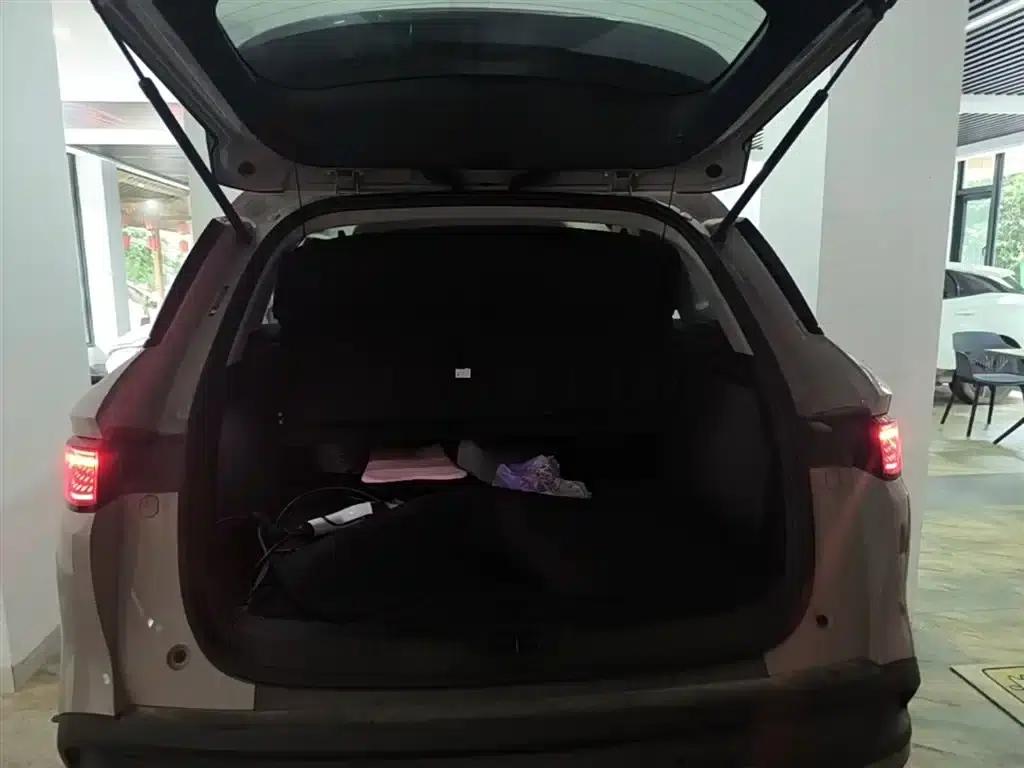 Hiace 05 DM-i 2025 DM-i 75KM Luxury Edition — миниатюра 19