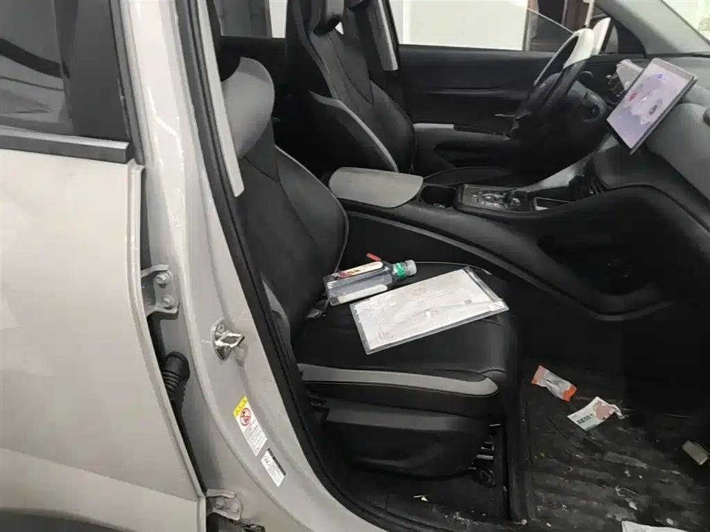 Hiace 05 DM-i 2025 DM-i 75KM Luxury Edition — миниатюра 25