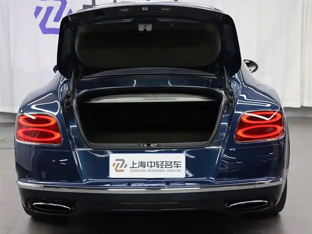 2015 Continental 6.0T GT W12 Standard Edition — миниатюра 27