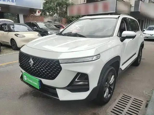 Baojun RS-5 2019 1.5T CVT Intelligent Driving Control Luxury Edition (National VI Emission Standard)