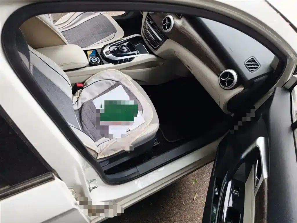 Beijing EU5 2018 R500 Smart Wind Edition — миниатюра 22