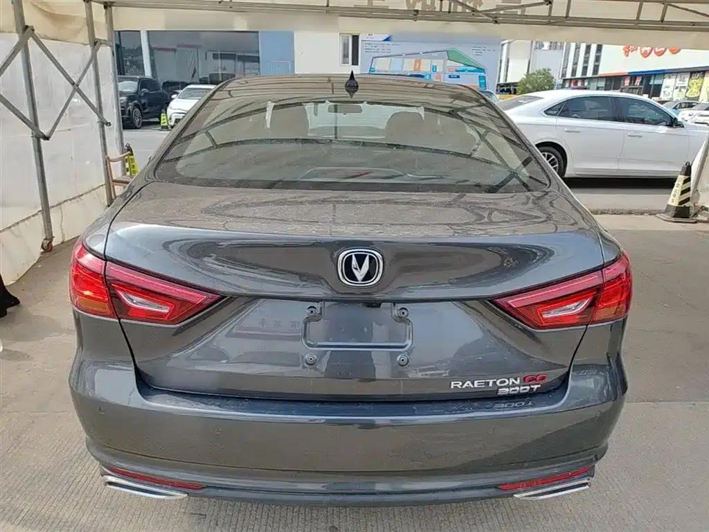 Ruicheng CC 2021 Blue Whale Edition 1.5T DCT Elite — миниатюра 6