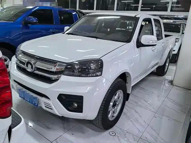 Wingle 5 2023 2.0T Diesel 2WD Elite Double Cab