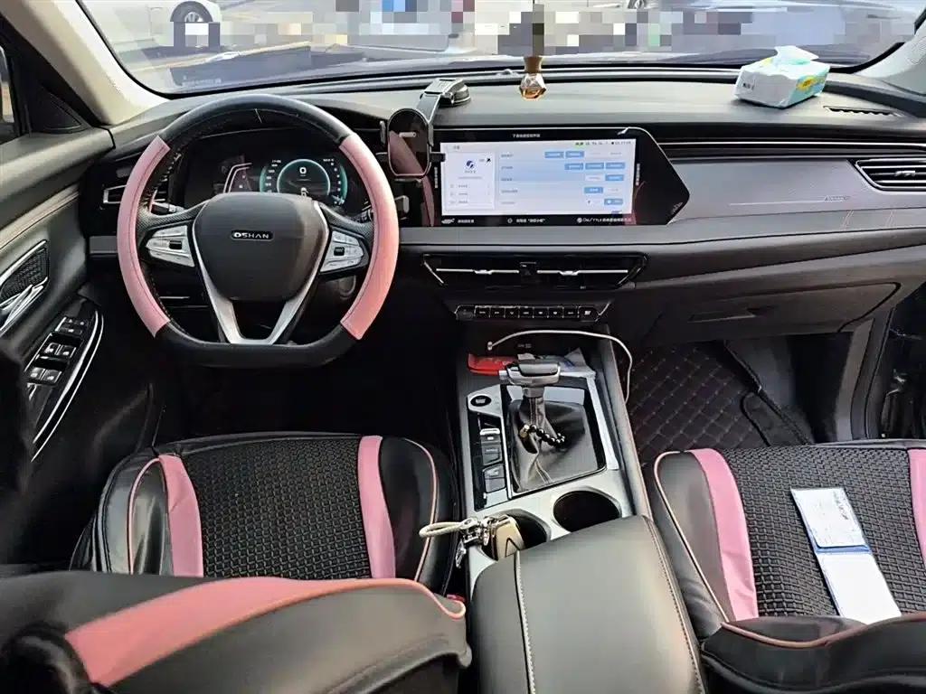 Changan Oushang X7 PLUS 2022 1.5T Blue Whale Edition Automatic Luxury Model — миниатюра 13