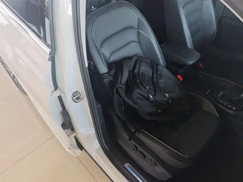 Tiguan L Plug-in Hybrid 2020 430PHEV Plug-in Hybrid Flagship Edition — миниатюра 25