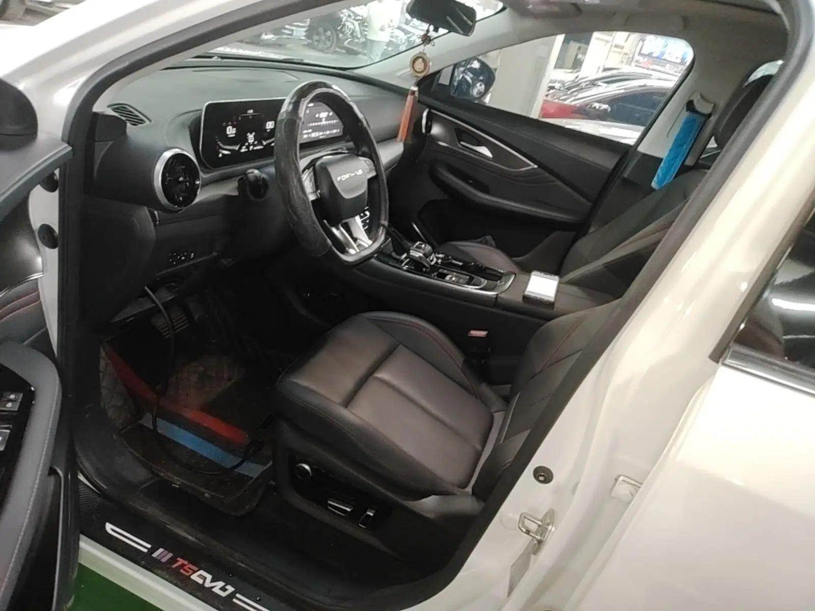 FORTHING T5 EVO 2021 1.5TD DCT Diamond Edition — миниатюра 17