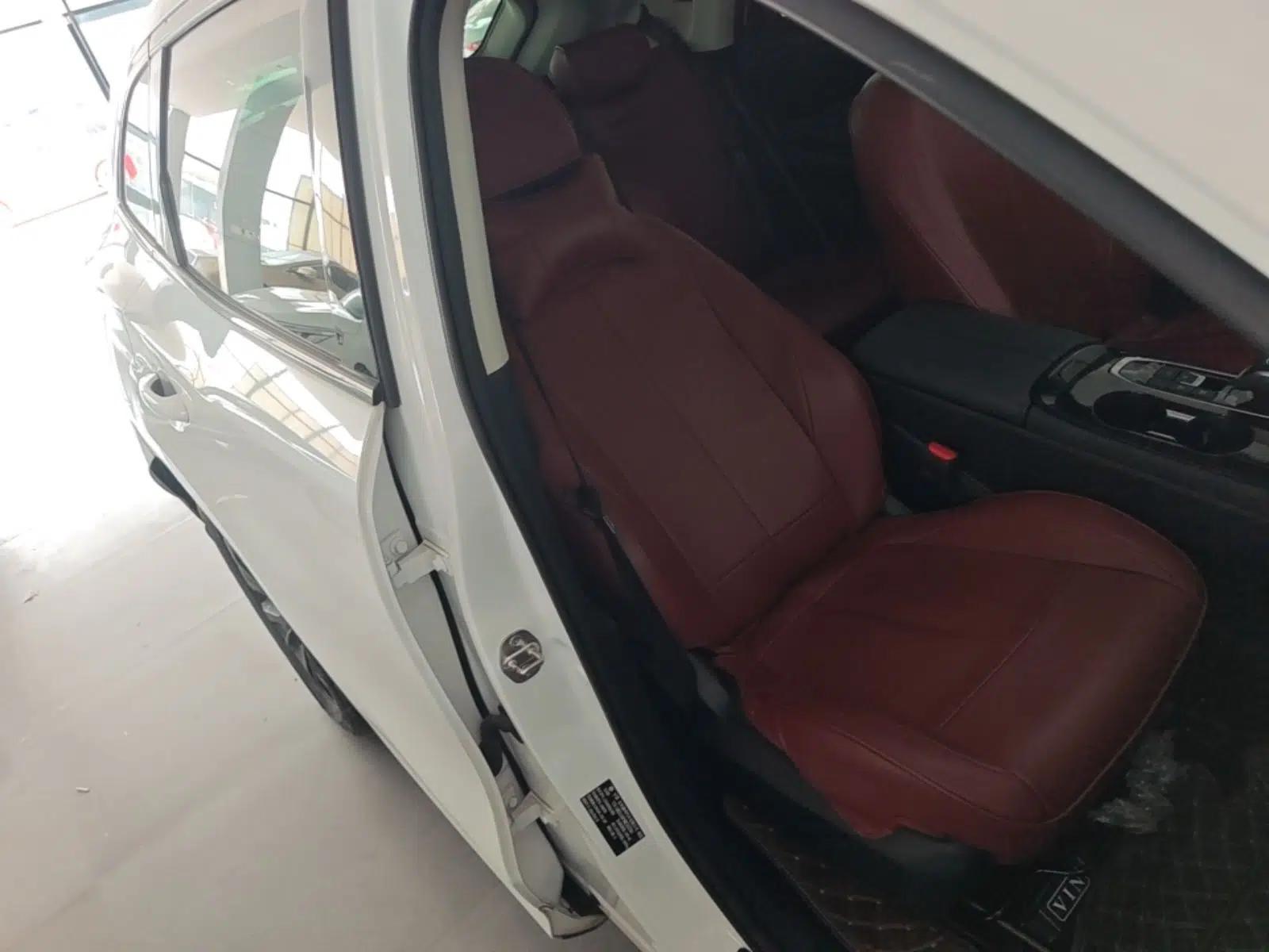 FORTHING T5 EVO 2021 1.5TD DCT Diamond Edition — миниатюра 23
