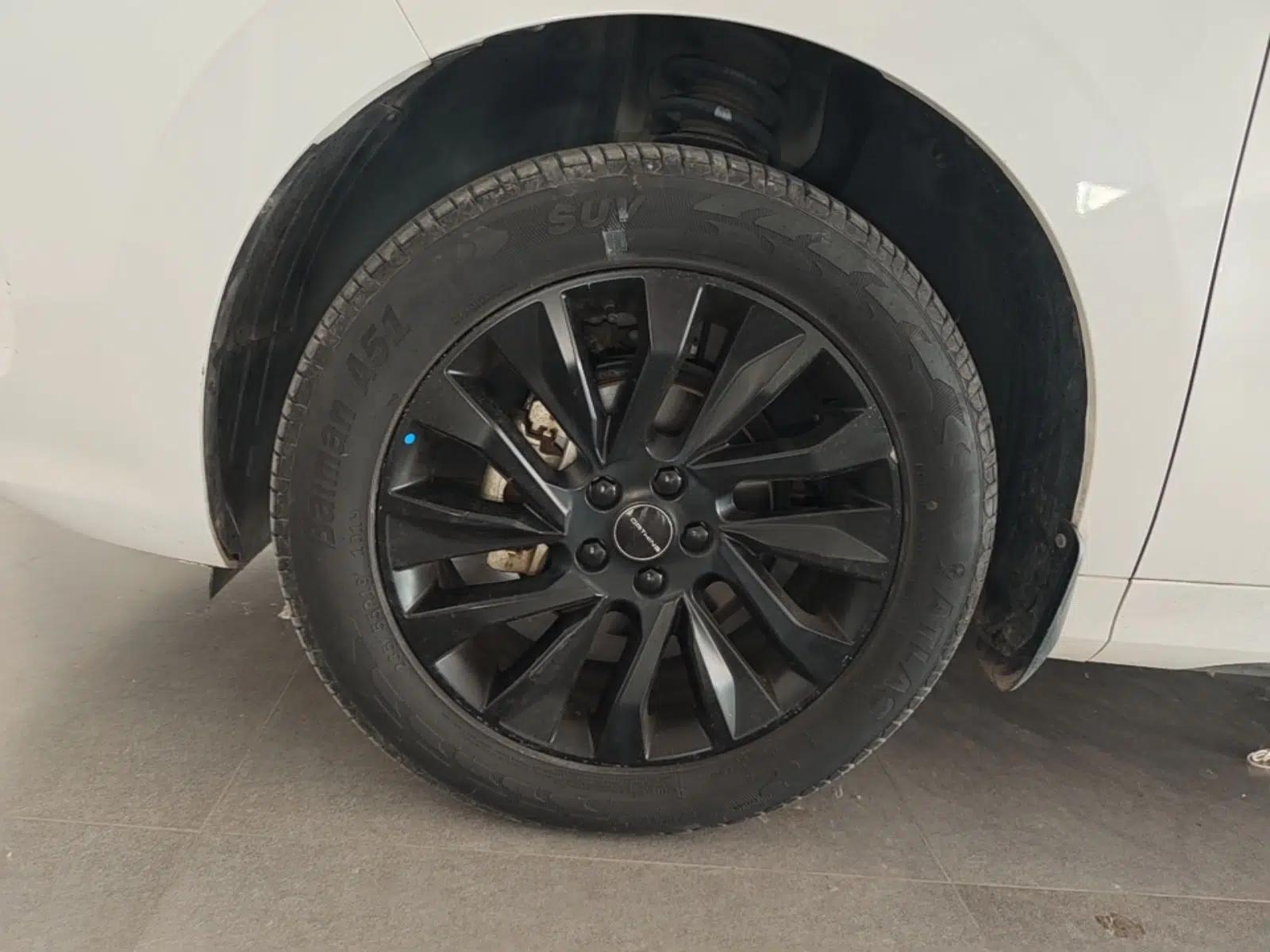 FORTHING T5 EVO 2021 1.5TD DCT Diamond Edition — миниатюра 9