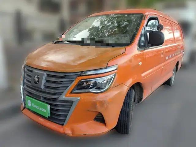 FORTHING Lingzhi M5 2023 Van Version Classic 2-Seater