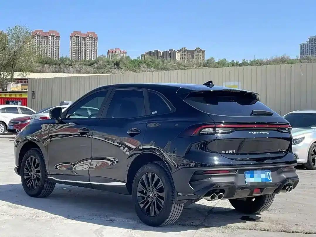 Fengxing T5 EVO 2024 1.5TD DCT Starry Sky Edition — миниатюра 4