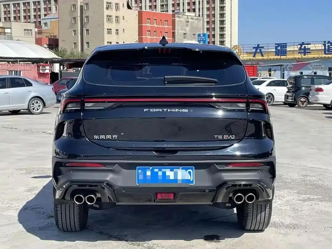 Fengxing T5 EVO 2024 1.5TD DCT Starry Sky Edition — миниатюра 5