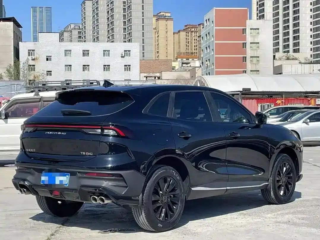 Fengxing T5 EVO 2024 1.5TD DCT Starry Sky Edition — миниатюра 6
