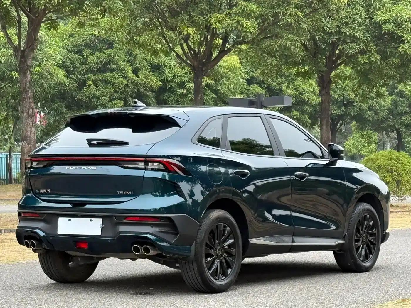 Fengxing T5 EVO 2024 1.5TD DCT Starry Sky Edition — миниатюра 13