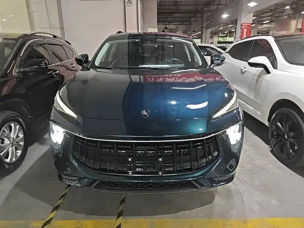 Fengxing T5 EVO 2021 1.5TD DCT Diamond Edition — миниатюра 3
