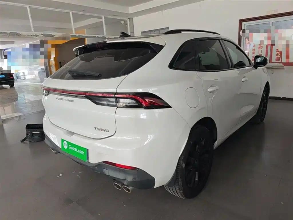 Fengxing T5 EVO 2021 1.5TD DCT Diamond Edition — миниатюра 7