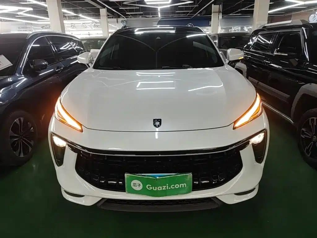Fengxing T5 EVO 2021 1.5TD DCT Diamond Edition — миниатюра 3
