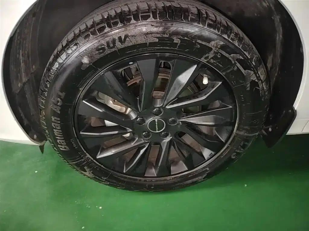 Fengxing T5 EVO 2021 1.5TD DCT Diamond Edition — миниатюра 23