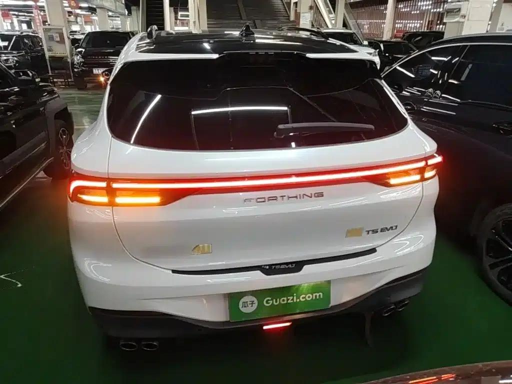 Fengxing T5 EVO 2021 1.5TD DCT Diamond Edition — миниатюра 6
