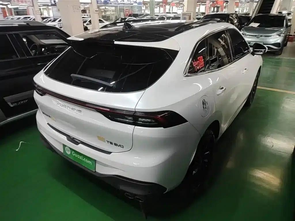 Fengxing T5 EVO 2021 1.5TD DCT Diamond Edition — миниатюра 7