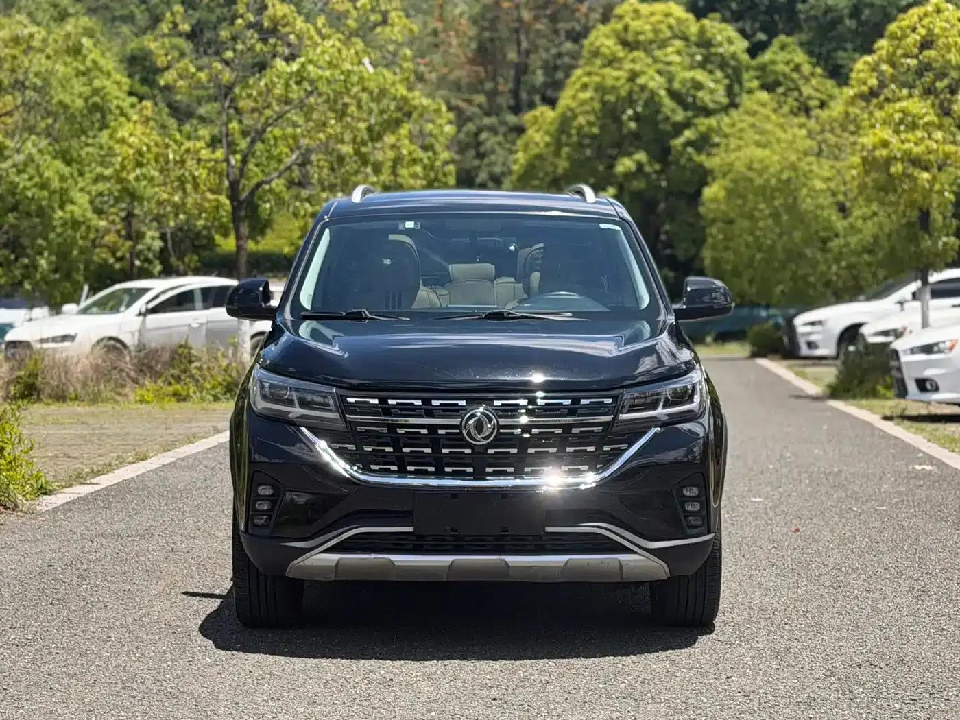 Fengxing T5L 2019 1.6TD DCT Premium 7-seater — миниатюра 2