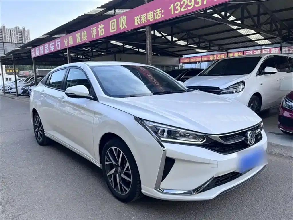 Aeolus Yixuan 2020 230T Automatic Dazzling Edition — миниатюра 9